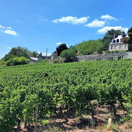 L'hortensia Gare A 100m Tours